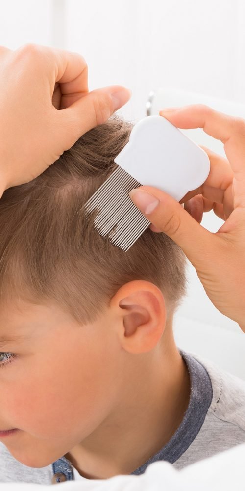 Mom looking for lice on her child's head using an anti-lice comb